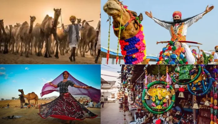 Camels Living Canvases of Color Camels Living Canvases of Color